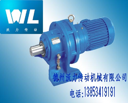 X系列行星擺線針輪減速機(jī)