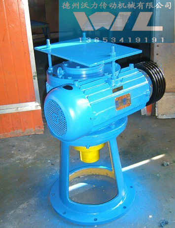 A型立式圓柱蝸桿減速機(jī)