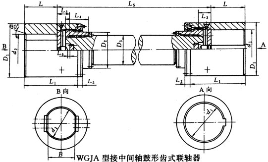 WGJ型接中間軸鼓形齒式聯(lián)軸器外形及安裝尺寸(JB/T8821-98)