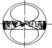 �X݆�����g(sh��)�Z(y��)�F�X݆����(zh��n)�p�����X݆�����X݆��