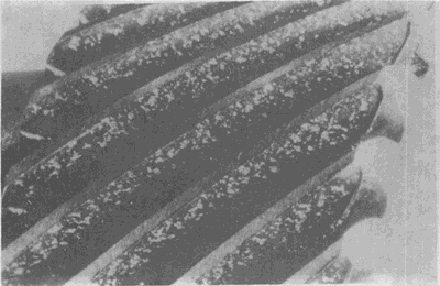 �X��ēp���E��