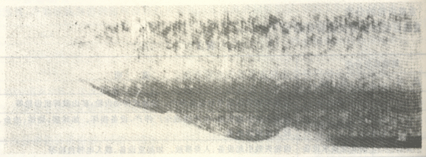 失效的形式與判據