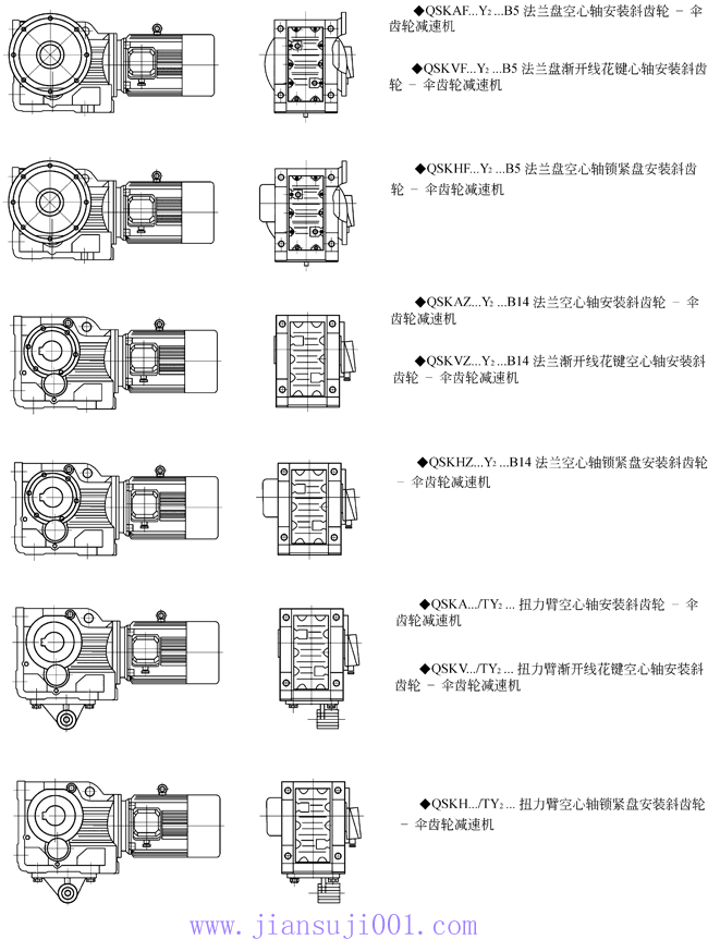 QSK系列斜齒輪—傘齒輪減速機結構型式圖