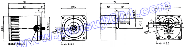 三相感應(yīng)馬達(dá)