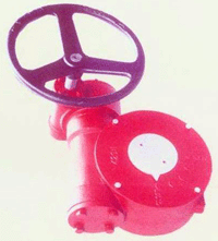 XJϵ���y�T�p�������g(sh��)����(sh��)